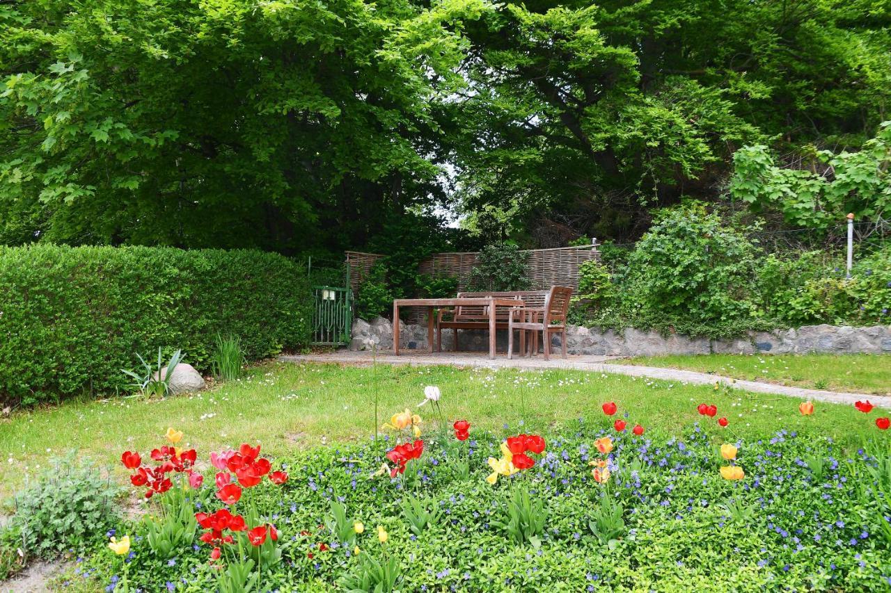 Ferienwohnung In Sassnitz Dış mekan fotoğraf
