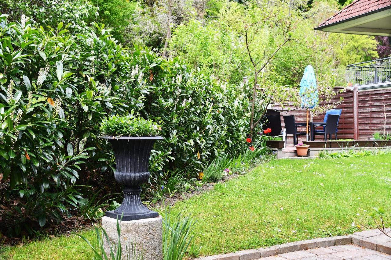 Ferienwohnung In Sassnitz Dış mekan fotoğraf